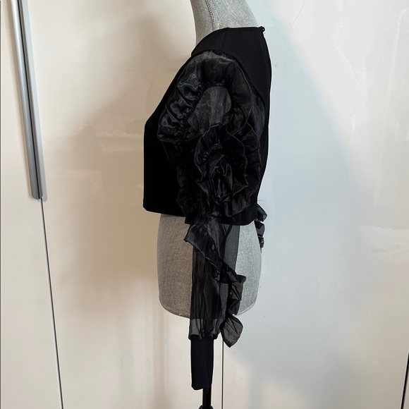 NWOT Elegant Black Fitted Stretch Sheer Rosette Sleeve Top, Size 40/8/M - Picture 5 of 12